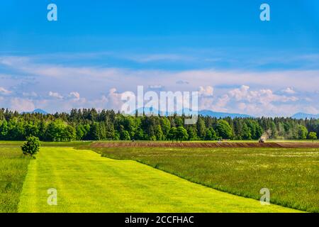 Germania, Baviera, alta Baviera, Tölzer Land, Dietramszell, Baiernrain distretto, paesaggio primaverile contro catena alpina Foto Stock