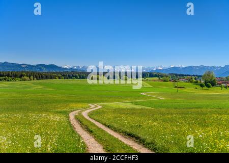 Germania, Baviera, alta Baviera, Tölzer Land, Dietramszell, Baiernrain distretto, paesaggio primaverile contro catena alpina Foto Stock