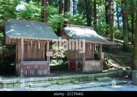 Nagano, Giappone - Suwa-taisha (Grande Santuario di Suwa) Shimosha Harumiya a Shimosuwa, Prefettura di Nagano, Giappone. Foto Stock