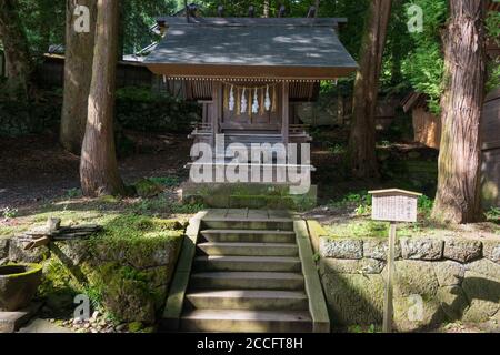 Nagano, Giappone - Suwa-taisha (Grande Santuario di Suwa) Kamisha Honmiya a Suwa, Prefettura di Nagano, Giappone. Foto Stock