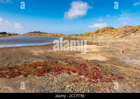 S'Albufera des Grau - parco naturale sull'isola di Minorca. Spagna Foto Stock