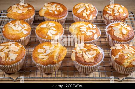 Muffin appena fatti in casa, al forno al gusto di banana in scatole di carta, rinfrescando su una griglia, ciascuno rivestito con una spruzzata di mandorle fiocchi. Foto Stock