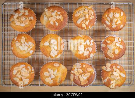 Muffin appena fatti in casa, al forno al gusto di banana in scatole di carta, rinfrescando su una griglia, ciascuno rivestito con una spruzzata di mandorle fiocchi. Foto Stock