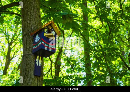 Casa di uccelli in legno dipinta con colori luminosi appesa sull'albero Foto Stock