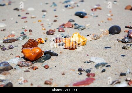 Alcuni pezzi d'ambra si trovano sulla riva del Mar Baltico Foto Stock