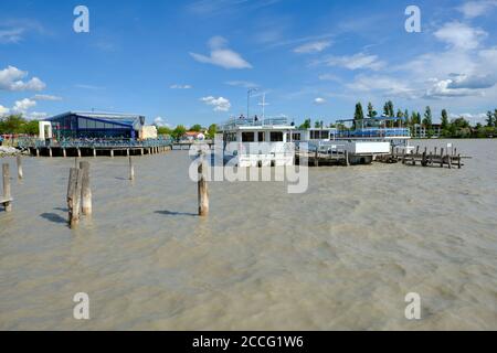 Il Neusiedler See a Podersdorf am See, Parco Nazionale Neusiedler See, Burgenland, Austria Foto Stock