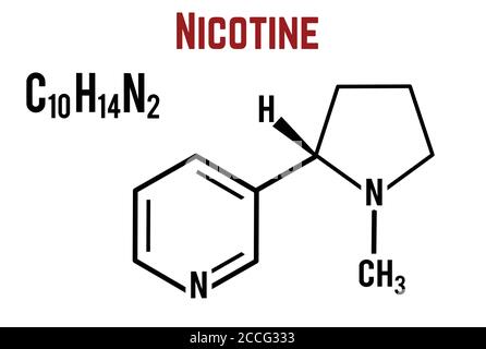 Formula chimica strutturale molecolare della nicotina su sfondo bianco, illustrazione vettoriale Illustrazione Vettoriale