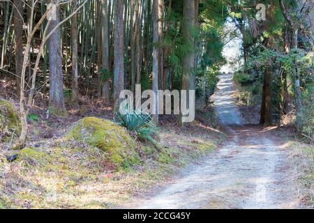 Splendida vista panoramica tra la stazione di Nagiso e Tsubago-juku su Nakasendo a Nagiso, Nagano, Giappone. Nakasendo è famosa antica strada. Foto Stock