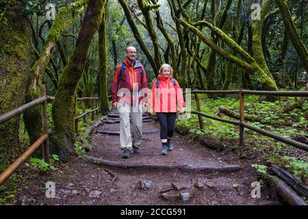 Coppia escursioni sul sentiero forestale nella foresta di alloro, Laguna Grande, Garajonay Parco Nazionale, la Gomera, Isole Canarie, Spagna Foto Stock