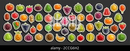 Set vettoriale di frutta fresca, gruppo di frutta e frutti di cartoni animati tagliati, vari tag di frutta minimal design per bevande dolci o gelati, raccolta o Illustrazione Vettoriale
