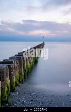 Breakwater sull'isola di Hiddensee Foto Stock