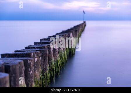 Breakwater sull'isola di Hiddensee Foto Stock