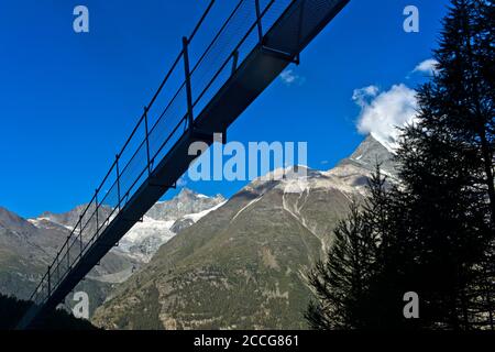 Ponte sospeso Charles Kuonen in luce posteriore, Randa, Vallese, Svizzera Foto Stock