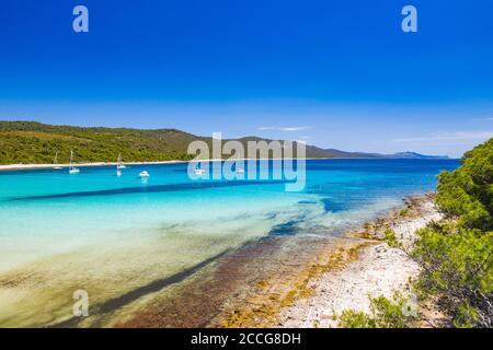 Splendida costa in Croazia. Laguna turchese sulla spiaggia di Sakarun sull'isola di Dugi Otok, yacht e barche a vela ancorate in mare blu. Paradiso Adriatico. Foto Stock