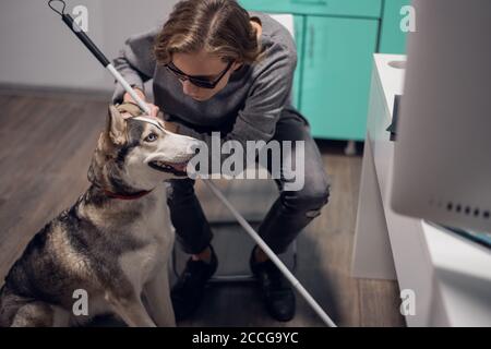 Una ragazza cieca con il suo cane guida Husky, seduto sulla sedia, al chiuso. Foto Stock