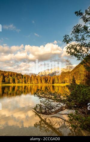 Il sole serale illumina le rive del Ferchensee, sopra Mittenwald, con il Karwendel sullo sfondo e un ramo in primo piano. Leggero Foto Stock