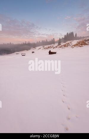 Fox tracce nella neve, sullo sfondo tipico alpeggi e paesaggio collinare delle Prealpi Bavaresi e le montagne estere vicino Garmisch-P. Foto Stock