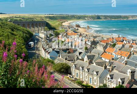 CULLEN BAY MORAY COSTA SCOZIA SEATOWN CASE E VIADOTTO ROSA BAY WILLOW FIORI DI ERBE CHAMAENERION ANGUSTIFOLIUM E UN VERDE BLU MARE Foto Stock