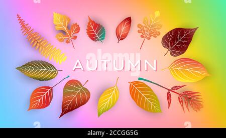 Sfondo autunno con foglie d'autunno brillanti. Illustrazione vettoriale Illustrazione Vettoriale