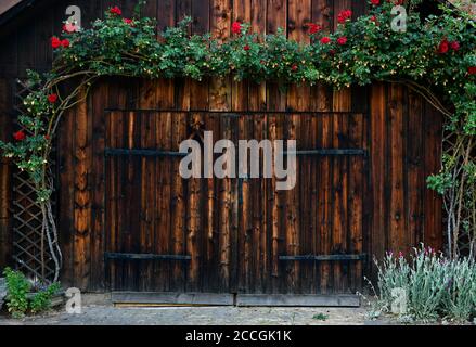 Porta di un fienile in legno, circondato da rose, Stoccarda, Baden-Württemberg, Germania Foto Stock