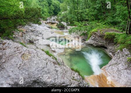 Le marmitte Brenton (cadini del brenton) nella valle del MIS nel Parco Nazionale delle Dolomiti Bellunesi, sospirolo, belluno, veneto, italia Foto Stock