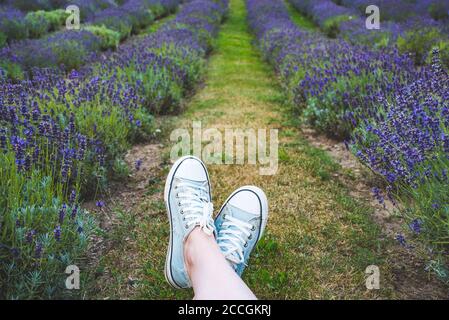 Caucasica ragazza con scarpe di tela che si stese sull'erba in un campo di lavanda, solo piedi Foto Stock