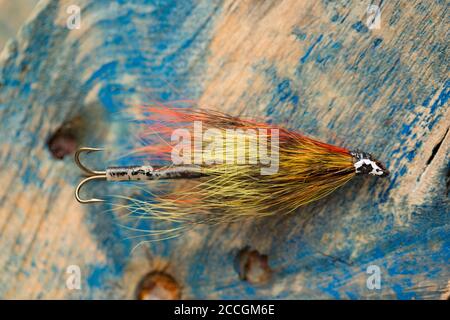 Una vecchia mosca di salmone dotata di un gancio di acuti preso da una scatola di mosca, o serbatoio. Visualizzato su un pezzo di driftwood. Da una collezione di pesca tac Foto Stock