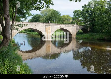 Vista estiva del ponte in pietra georgiano sul fiume Wharfe presso la Boston Spa nello Yorkshire occidentale Foto Stock