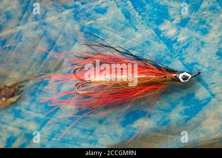 Una vecchia mosca di salmone dotata di un gancio di acuti preso da una scatola di mosca, o serbatoio. Visualizzato su un pezzo di driftwood. Da una collezione di pesca tac Foto Stock