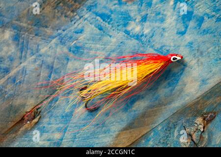 Una vecchia mosca di salmone dotata di un gancio di acuti preso da una scatola di mosca, o serbatoio. Visualizzato su un pezzo di driftwood. Da una collezione di pesca tac Foto Stock