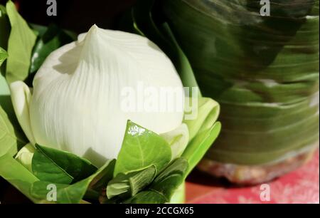 Bel Fiore, mazzi di fiori di Loto Bianco o acqua giglio fiori sul vassoio del piedistallo preparando a pagare rispetto al Buddha. Foto Stock