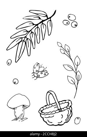 Serie autunnale di immagini disegnate a mano in forma di Pagine da colorare Illustrazione Vettoriale