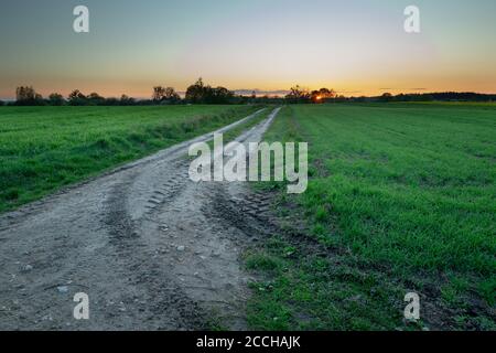 Tracce di ruote su una strada sterrata attraverso campi verdi durante il tramonto Foto Stock