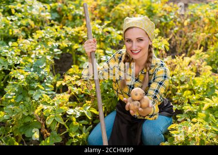 Famer donna che presenta le sue patate durante la raccolta Foto Stock