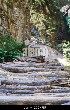 ponte di log in montagna attraverso il torrente dal cascata Foto Stock