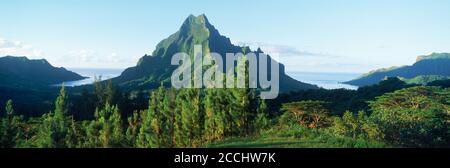 Immagine panoramica del picco di Mouaroa sopra la Baia di Opunohu su Moorea Isola in Polinesia francese Foto Stock