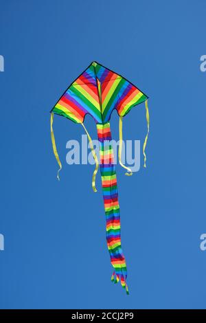 Volo multicolore kite contro cielo blu chiaro Foto Stock