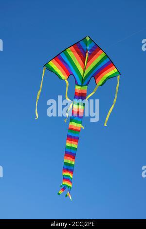 Volo multicolore kite contro cielo blu chiaro Foto Stock