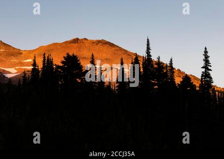 Luce brillante sulle Goat Rocks, vicino al Pacific Crest Trail nella Goat Rocks Wilderness, Gifford Pinchot National Forest, Washington state, Stati Uniti Foto Stock