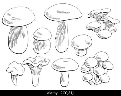 Funghi Set grafico nero bianco isolato illustrazione vettore di schizzo Illustrazione Vettoriale