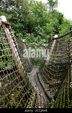 Vista prospettica di un ponte di corda rustico. Foto Stock