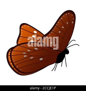 Farfalla monarca isolata su sfondo bianco. Vista laterale. Ali marroni e macchie bianche sulle ali. Vettore EPS10. Illustrazione Vettoriale