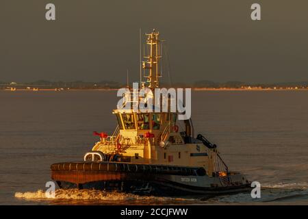 Il Tung svitzer avon in uscita per raccogliere il RoRo Fargo Foto Stock