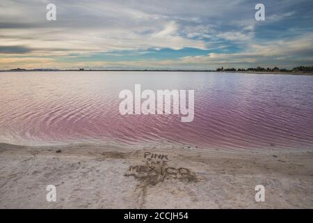 Las Coloradas, laguna di sale rosa, bella acqua rosa e cielo blu chiaro vicino Rio Lagartos, Yucatan, Messico Foto Stock