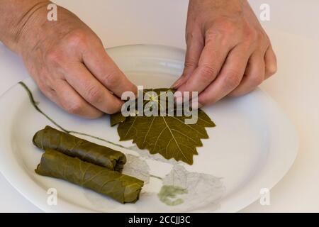Mano è avvolge, laminazione di foglie di uva umida in piatto bianco, tradizionale Preparazione di cibo turco, vista sopra Foto Stock