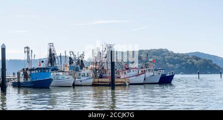 Con Dangar Island e Little Wobby sullo sfondo, una fila di pescherecci da traino si trova ormeggiata a Brooklyn, New South Wales, Australia Foto Stock