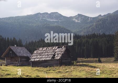 Case in legno villaggio rurale prato verde foresta paesaggio bello elevato angolo di vista di cui sopra, la Slovenia montagne. Viaggiare in Europa, il turismo. Foto Stock