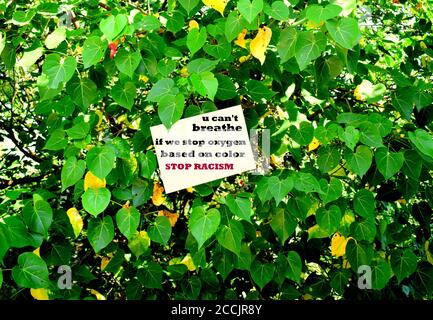 Stop Racism citazioni scritte su albero Foto Stock