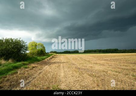 Campo stoppia e nuvole tempesta sul cielo Foto Stock