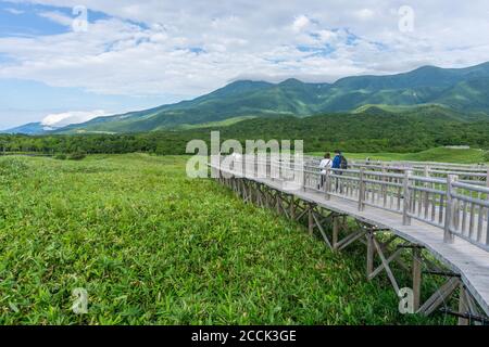 Vista della passerella sopraelevata presso il Parco Nazionale dei cinque Laghi di Shiretoko 知床五湖 a Hokkaido, Giappone Foto Stock